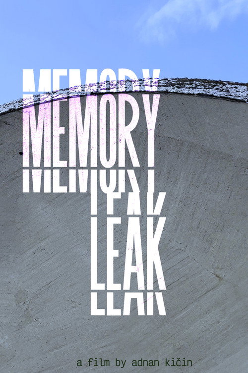 Memory Leak (2025) poster