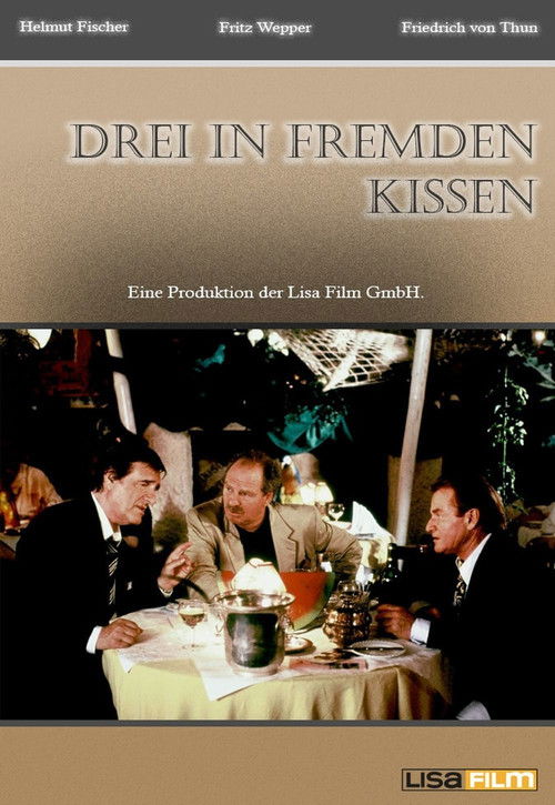 Drei in fremden Kissen (1995) poster