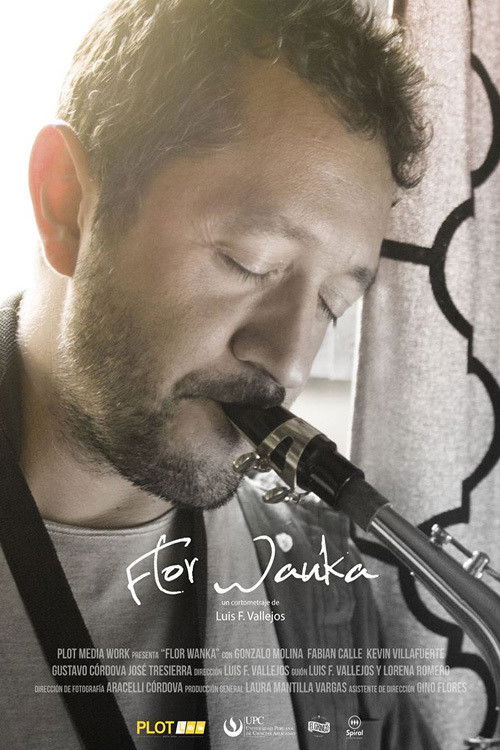 Flor Wanka (2017) poster