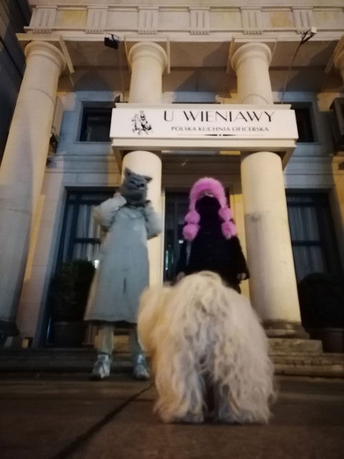 D'Vinci Testa Rosa Now (2022) poster