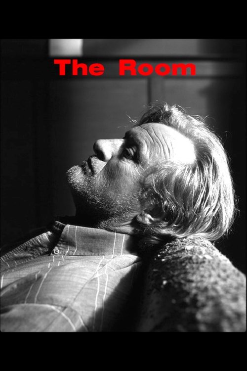 The Room (2001) poster