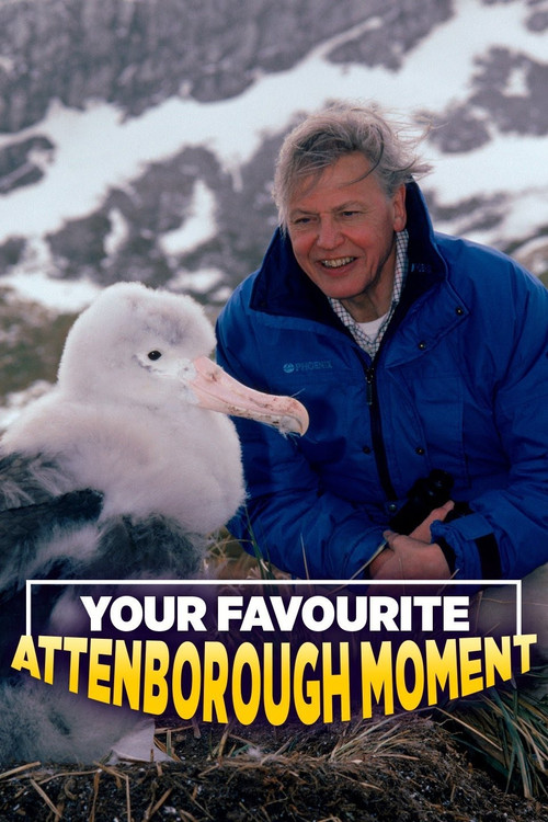 Your Favourite Attenborough Moment (2006) poster