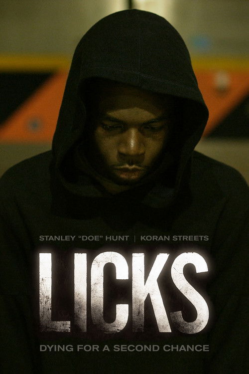 Licks (2013) poster
