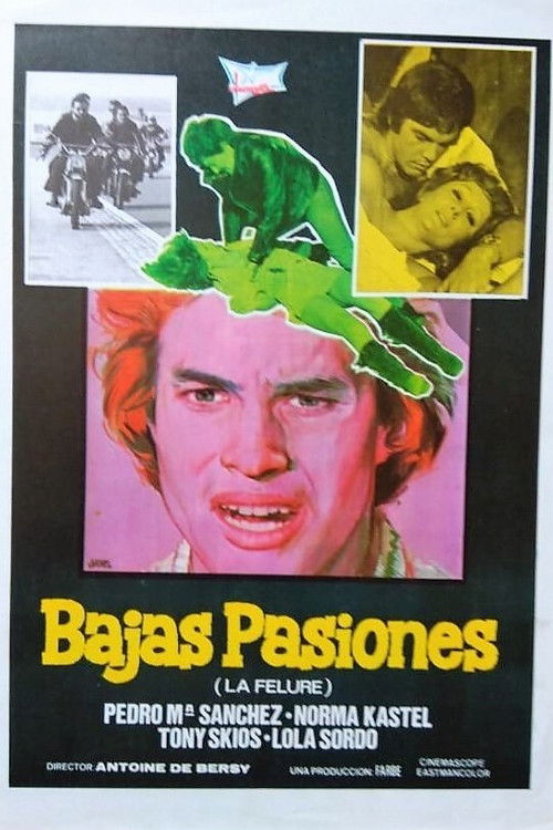 Bajas pasiones (1974) poster