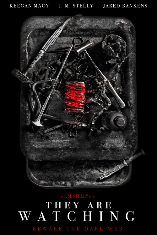 They Are Watching (2024) poster