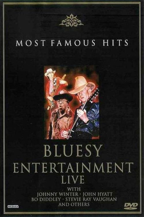 Bluesy Entertainment: Live (2003) poster