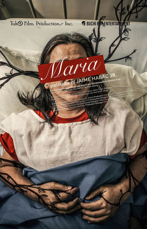 Maria (2017) poster