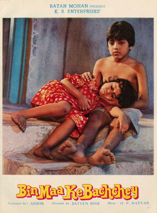 Bin Maa Ke Bachche (1980) poster