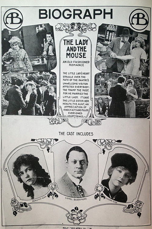 The Lady and the Mouse (1913) poster
