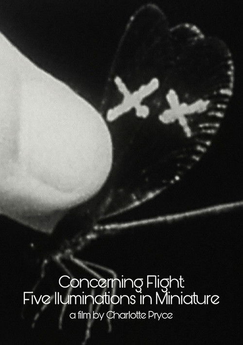 Concerning Flight: Five Illuminations In Miniature (2004) poster
