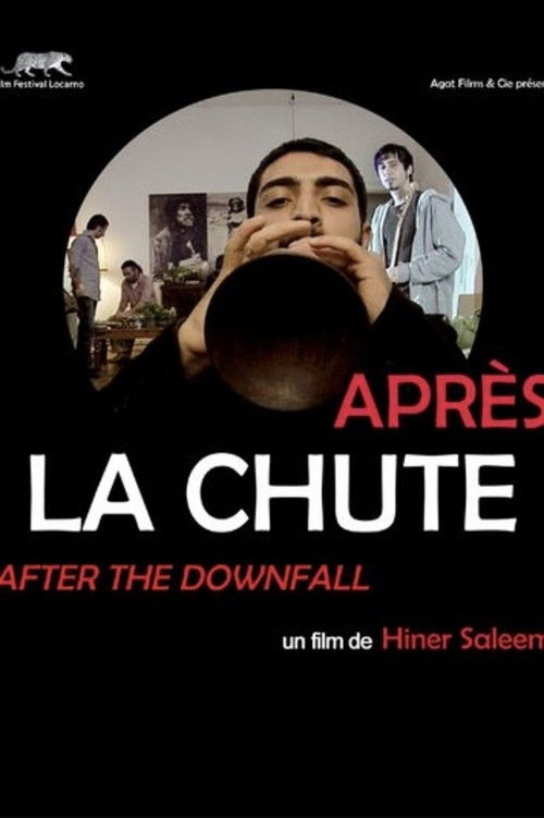 After the Downfall (2009) poster