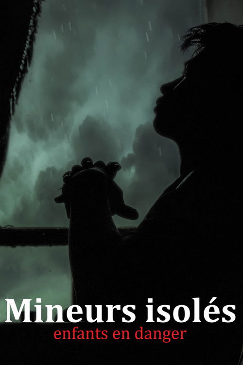 Auf der Flucht. Kinder spurlos verschwunden (2017) poster