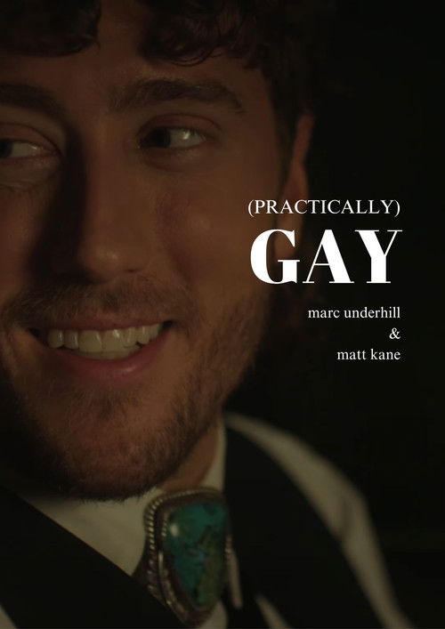 (Practically) Gay (2025) poster