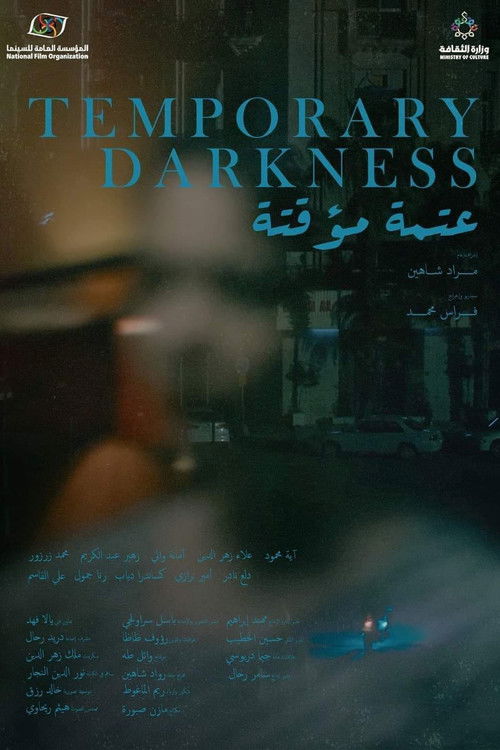Temporary Darkness (2024) poster