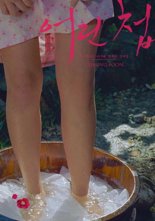 어린 첩 (2024) poster