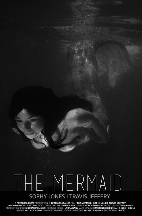 The Mermaid (2015) poster