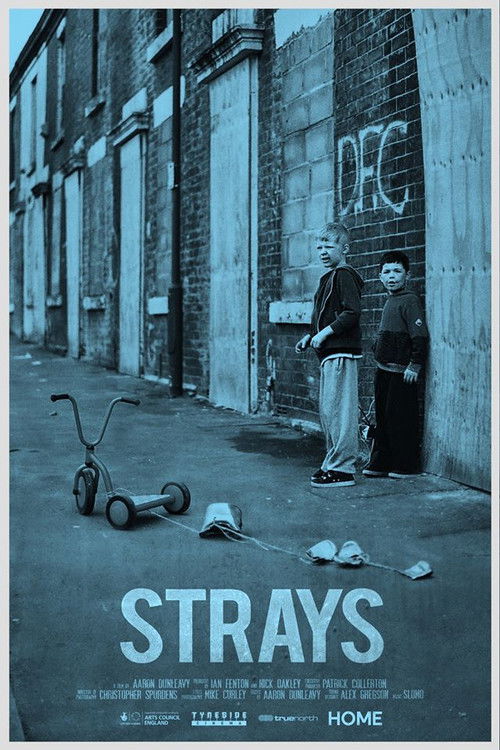 Strays (2017) poster