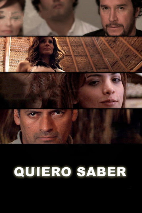 Quiero saber (2012) poster