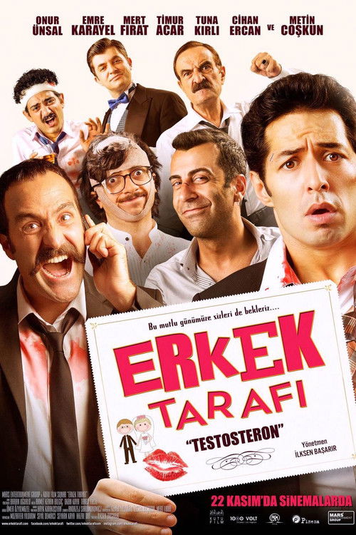 Erkek Tarafı: Testosteron (2013) poster