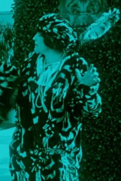 When the Night Call Came (1914) poster