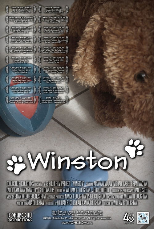 Winston (2016) poster