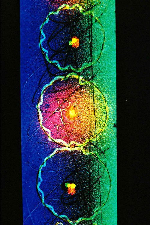 Linear Dreams (1997) poster