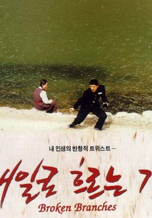 내일로 흐르는 강 (1996) poster