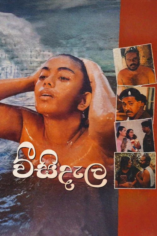 වීසි දැල (1997) poster