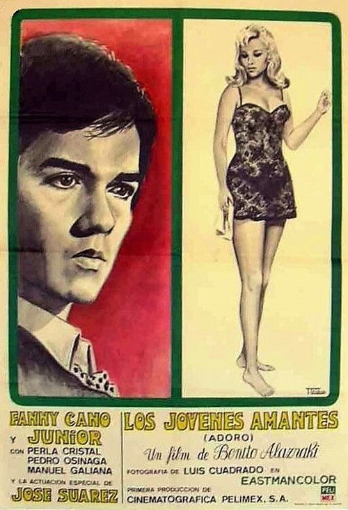 Los jóvenes amantes (1971) poster
