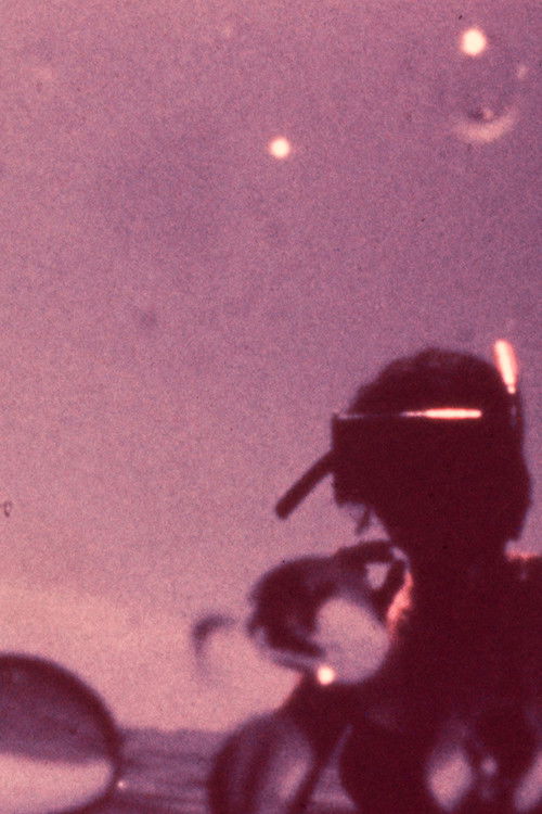 Pearl Diver (1984) poster