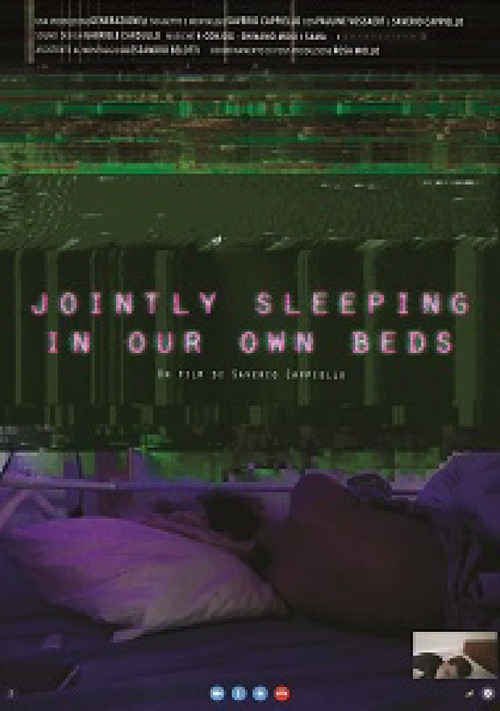 Jointly Sleeping in Our Own Beds (2017) poster