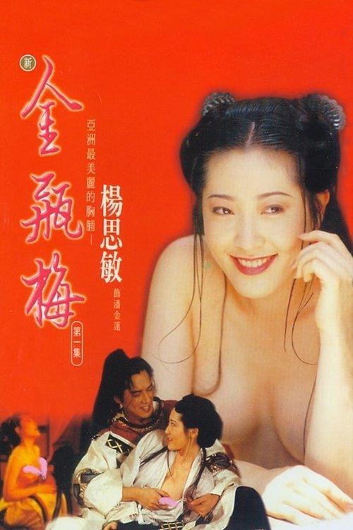 新金瓶梅 第一集 (1996) poster