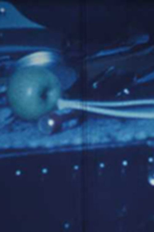 Untitled (1978) poster