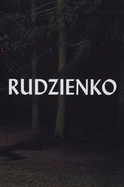 Rudzienko (2016) poster