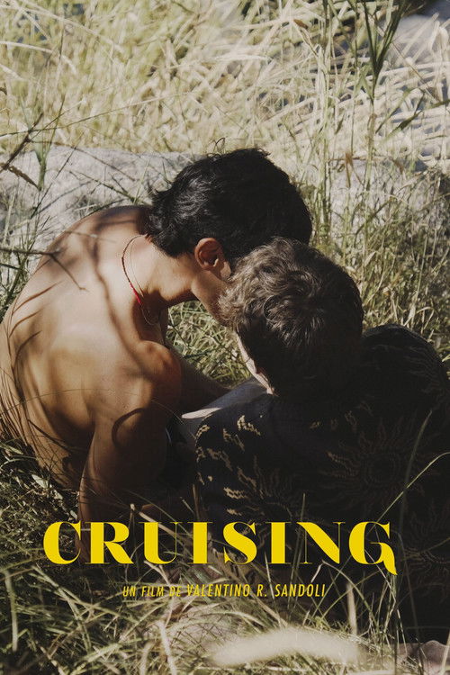 Cruising (2020) poster