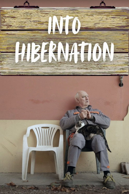 Into Hibernation (2025) poster