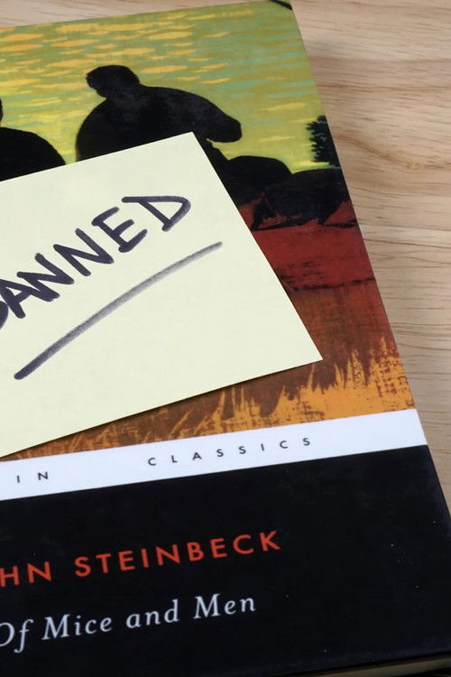 Library Wars: A New Front In America's Cultural Wars (2024) poster