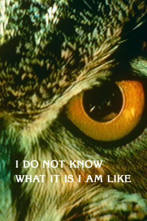I Do Not Know What It Is I Am Like (1986) poster