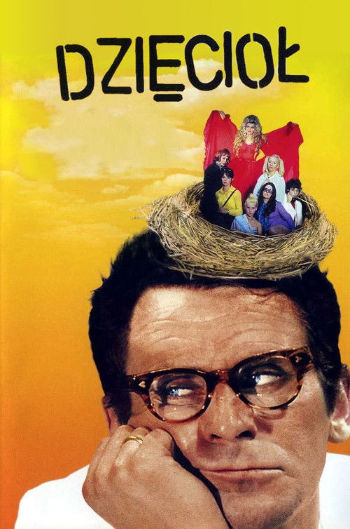 The Woodpecker (1971) poster