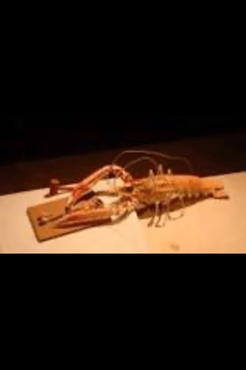 Jantar (2007) poster