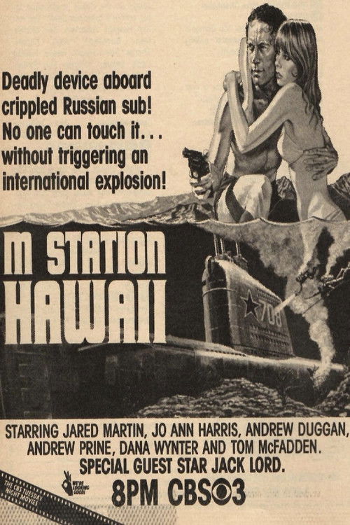 M Station: Hawaii (1980) poster