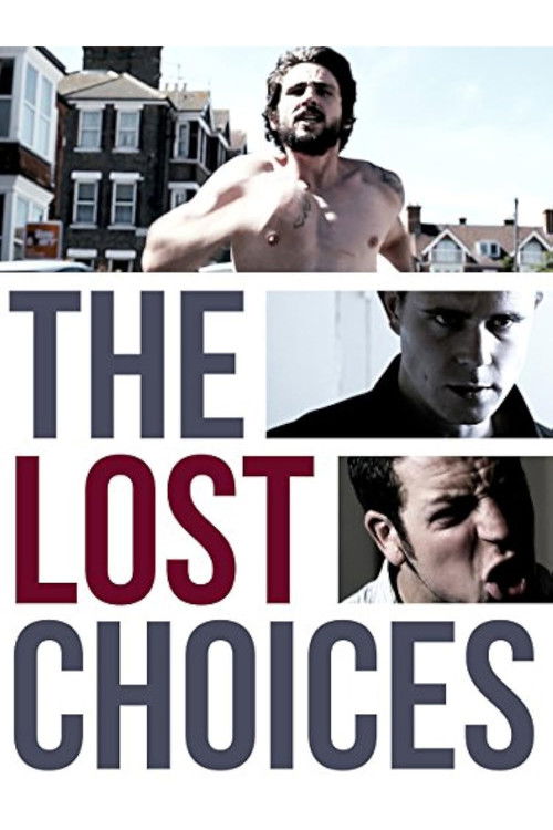 The Lost Choices (2013) poster