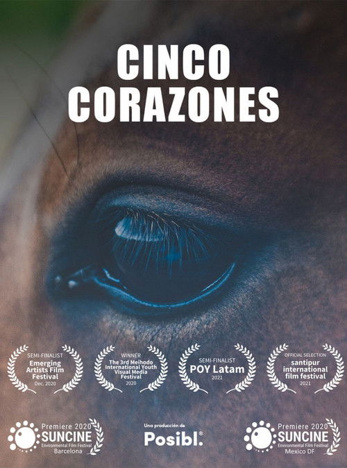 Cinco Corazones (2020) poster