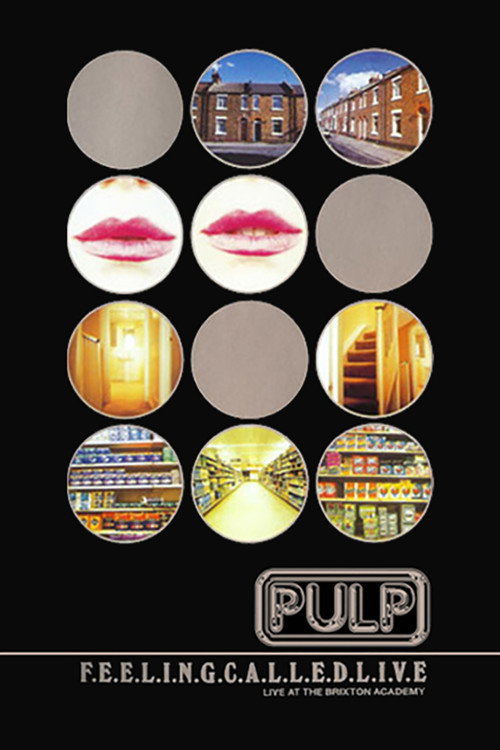 Pulp: F.E.E.L.I.N.G.C.A.L.L.E.D.L.I.V.E. (1995) poster