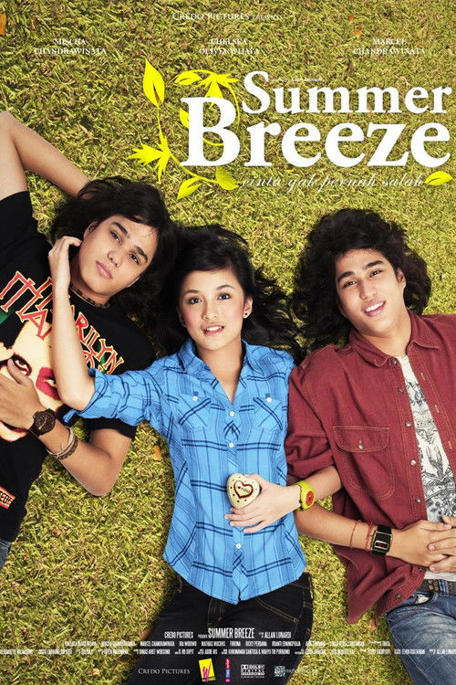 Summer Breeze (2008) poster