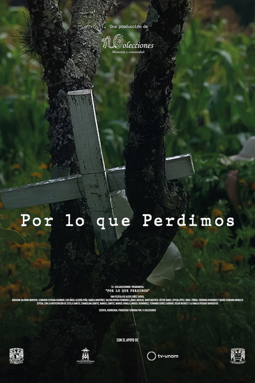 Por lo que Perdimos (2025) poster