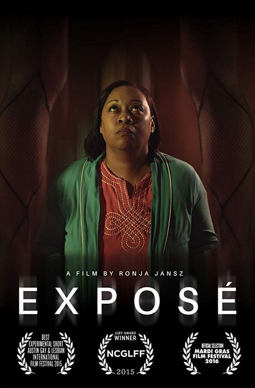 Exposé (2015) poster