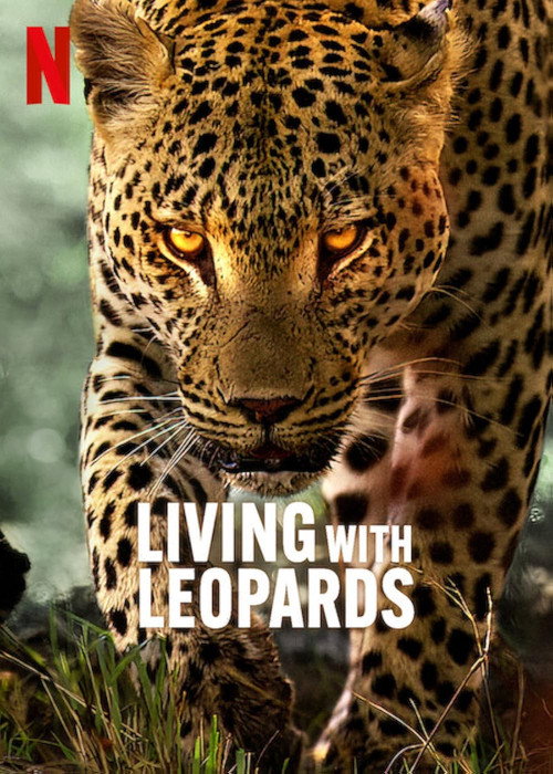 Living with Leopards (2024) poster