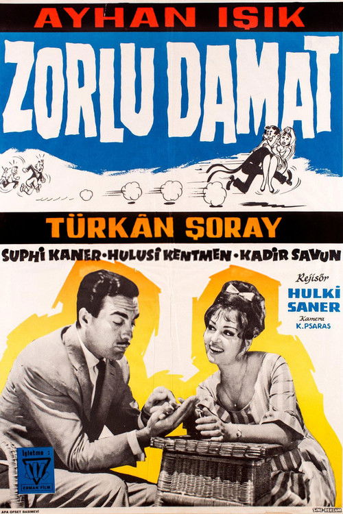 Zorlu Damat (1962) poster