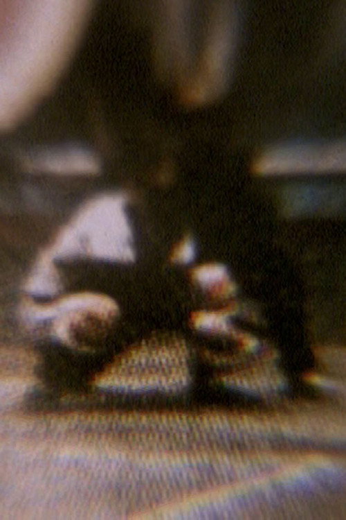 Soft Ticket (2004) poster